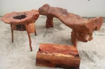 Davao Accounting Firms Redefining the Logging Industry