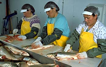 Accounting + Firms + in + Davao + City + Philippines + 2