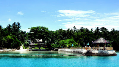 Accounting + Firms + in + Davao +City + Philippines + 2