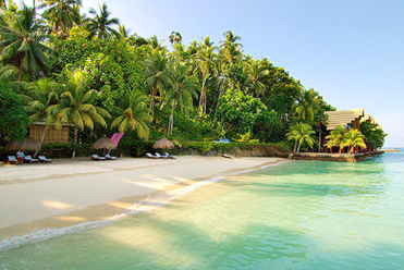 Accounting + Services + Davao