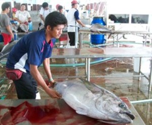 Accounting + Software + Services + Davao