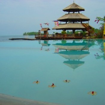 Business + Accounting + Services