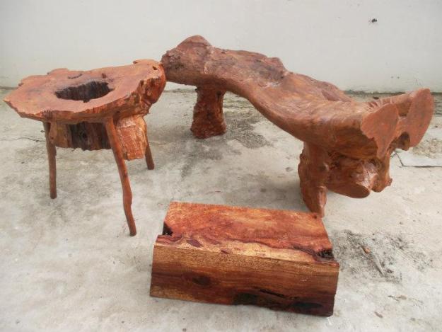 Davao Accounting Firms Redefining the Logging Industry