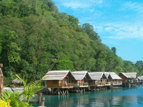 Certified + Public + Accountant + Davao