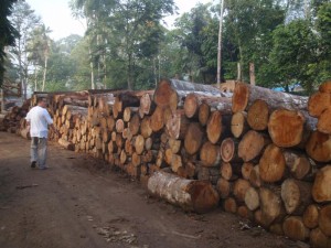 Certified + Public + Accountant + Davao